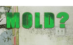 mold-banner-1024x640