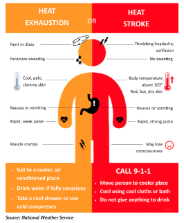 Summer Heat Safety Tips - Dunn Inspection Services